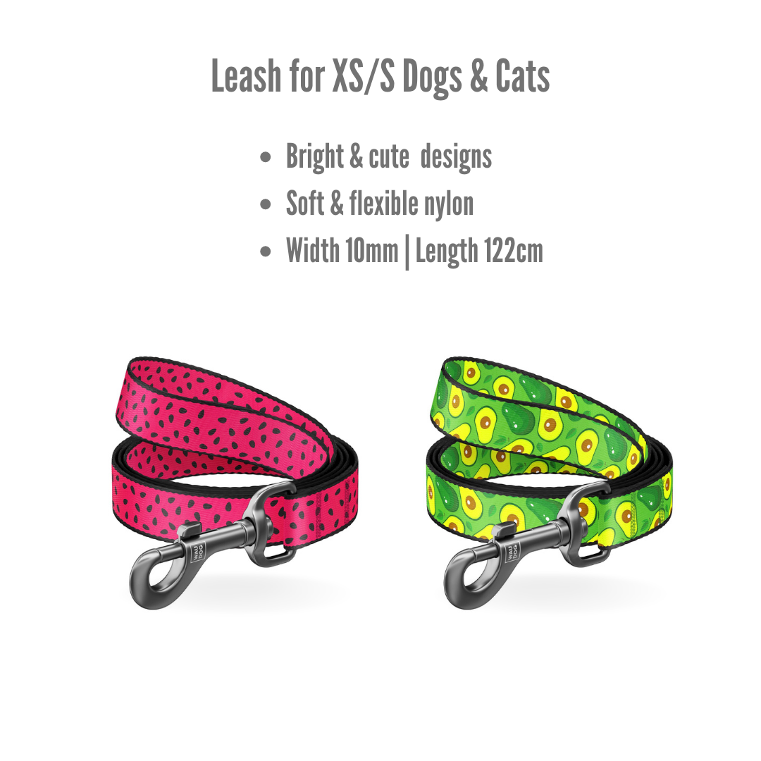 Small Pet Leash