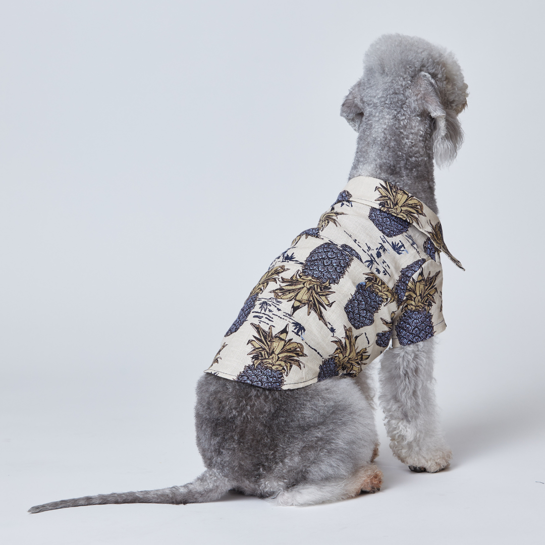 Hawaiian Shirt Pineapple