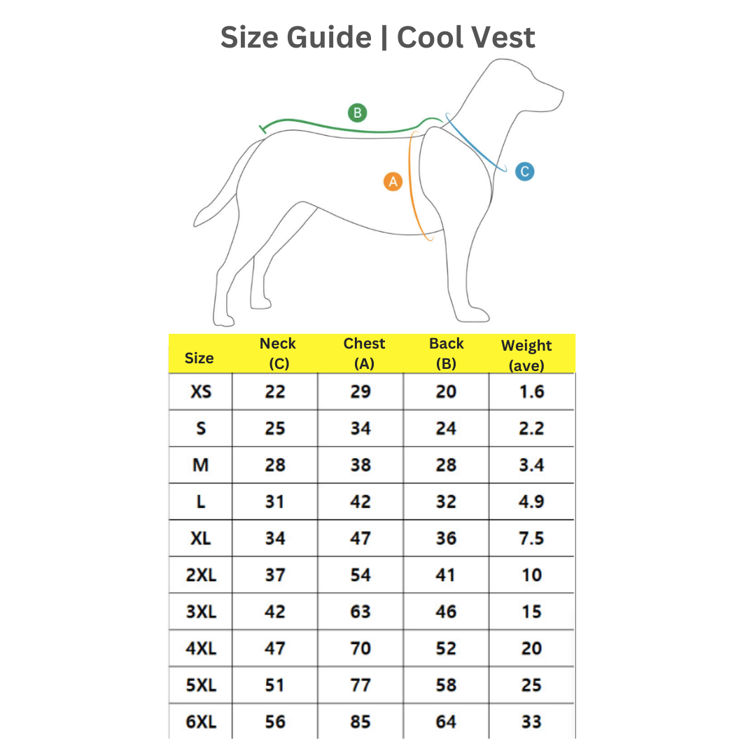 Macaron Cool Vest | Sun Protection