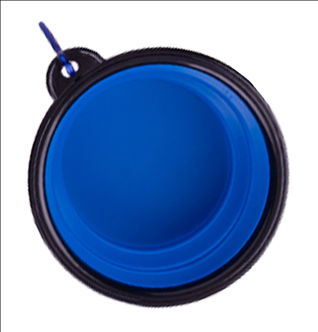 Collapsible Travel Bowl