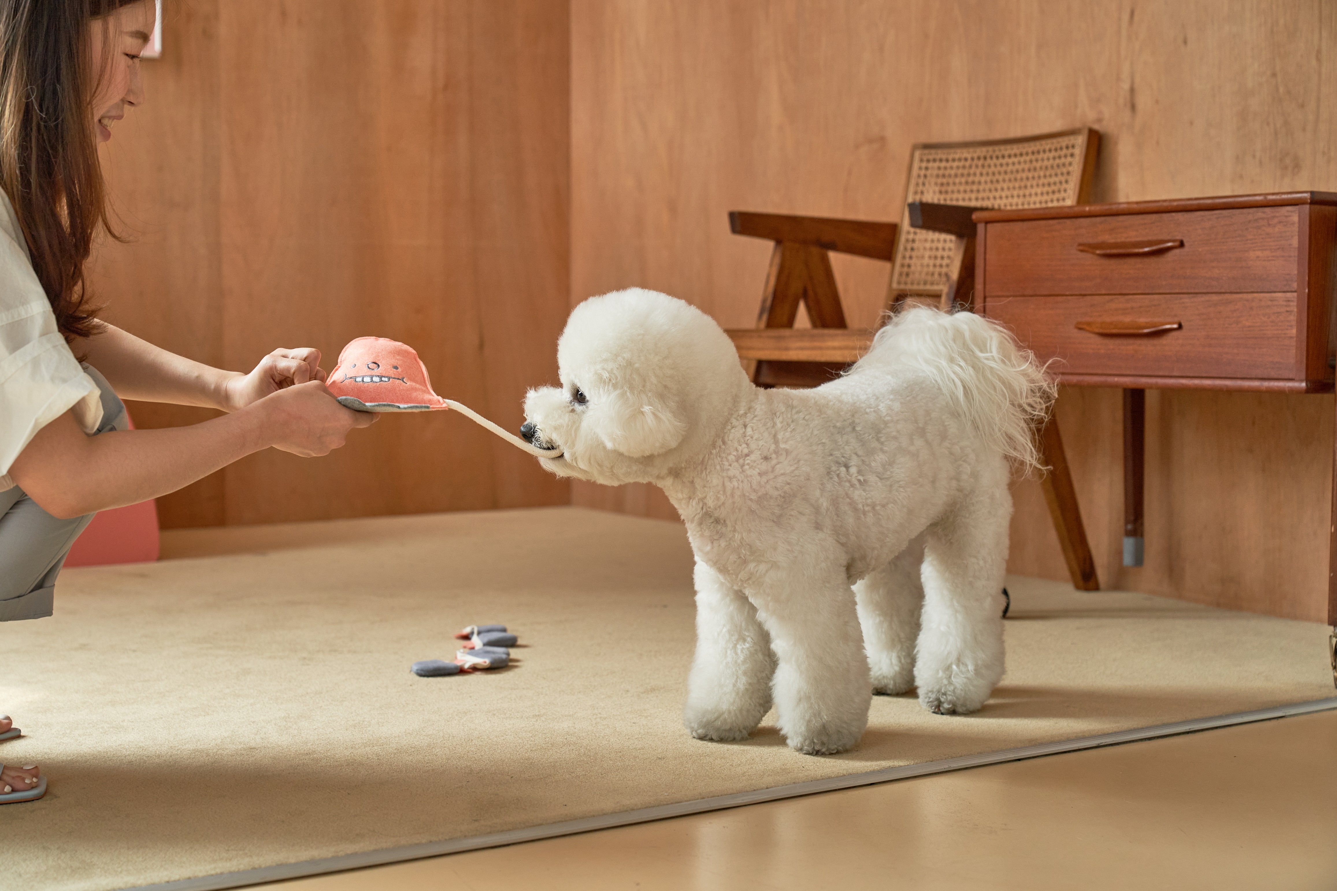 Interactive Dog Toy