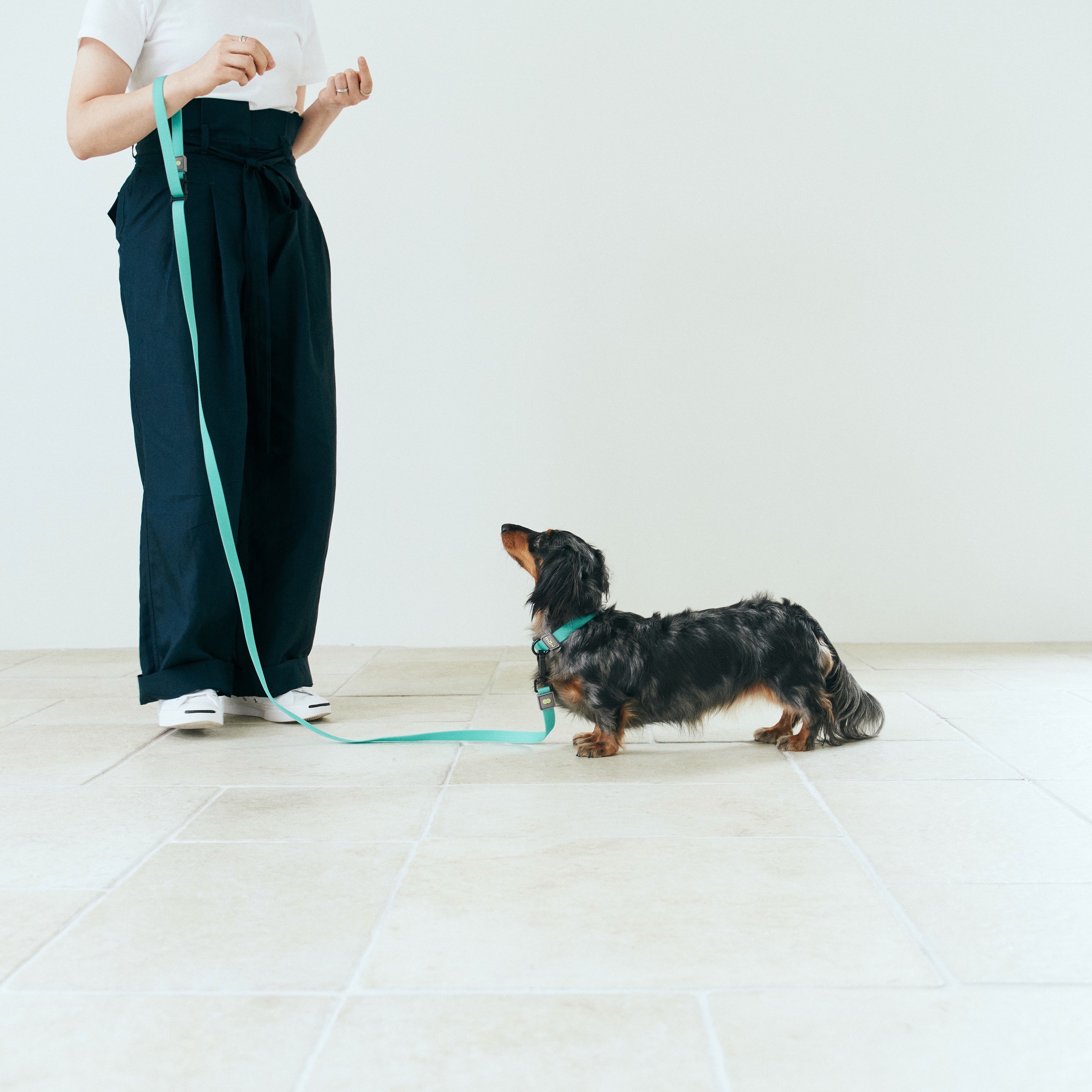 Munikund Waterproof Leash