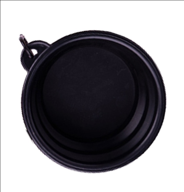 Collapsible Travel Bowl