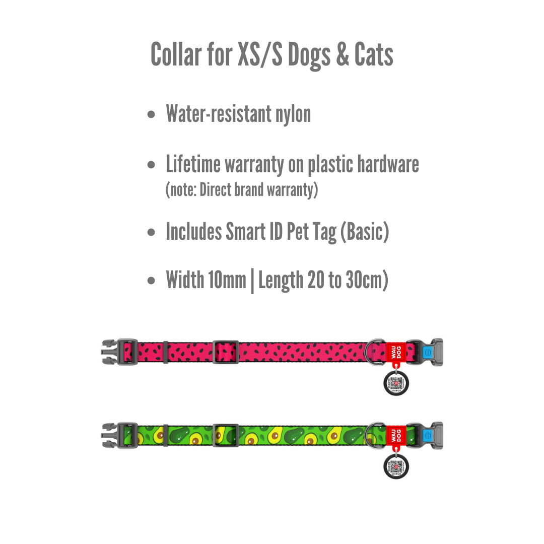 Small Pet Collar | Free ID Pet Tag