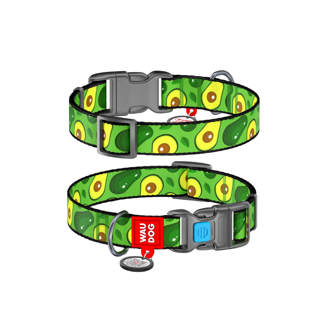 Small Pet Collar | Free ID Pet Tag
