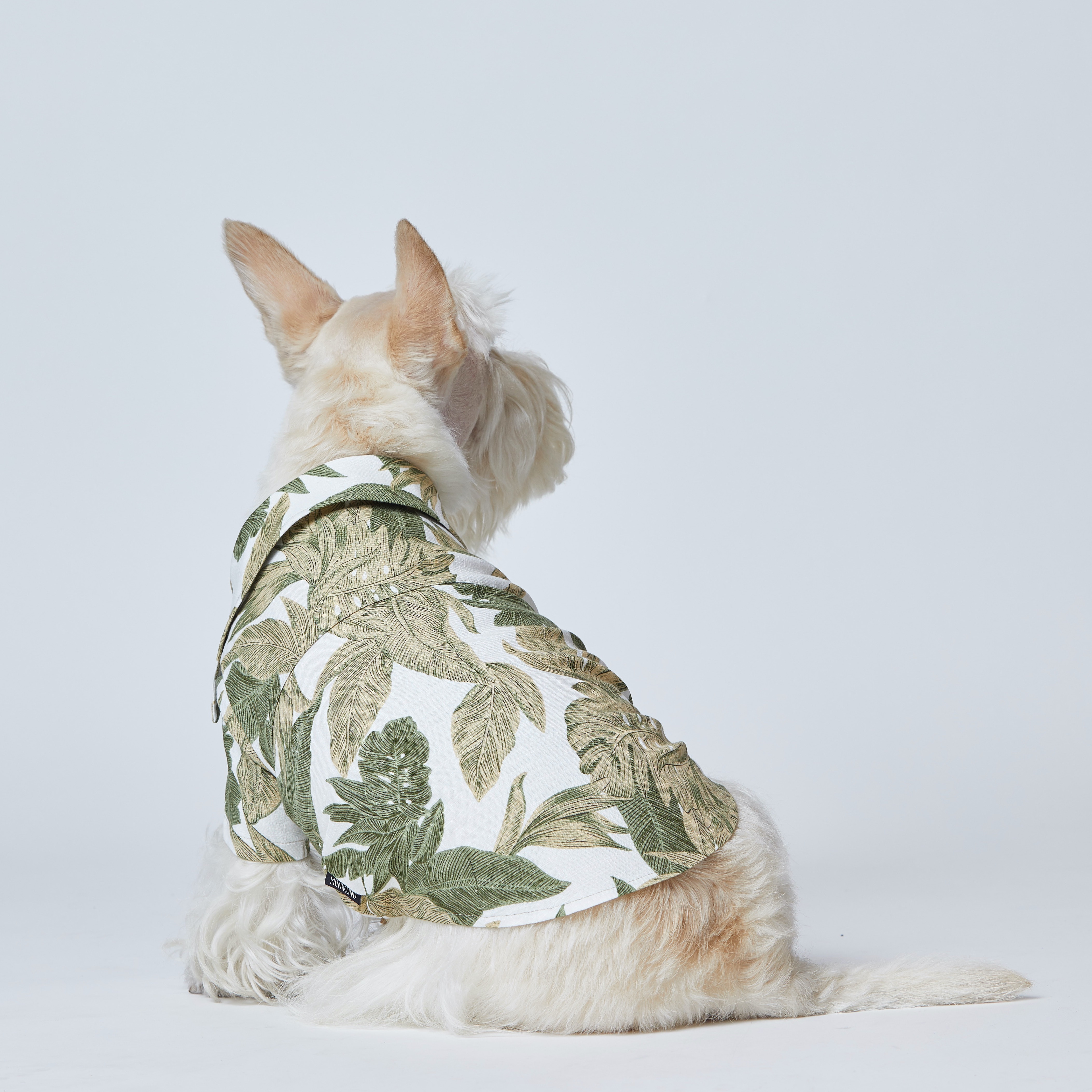 Hawaiian Shirt Forest