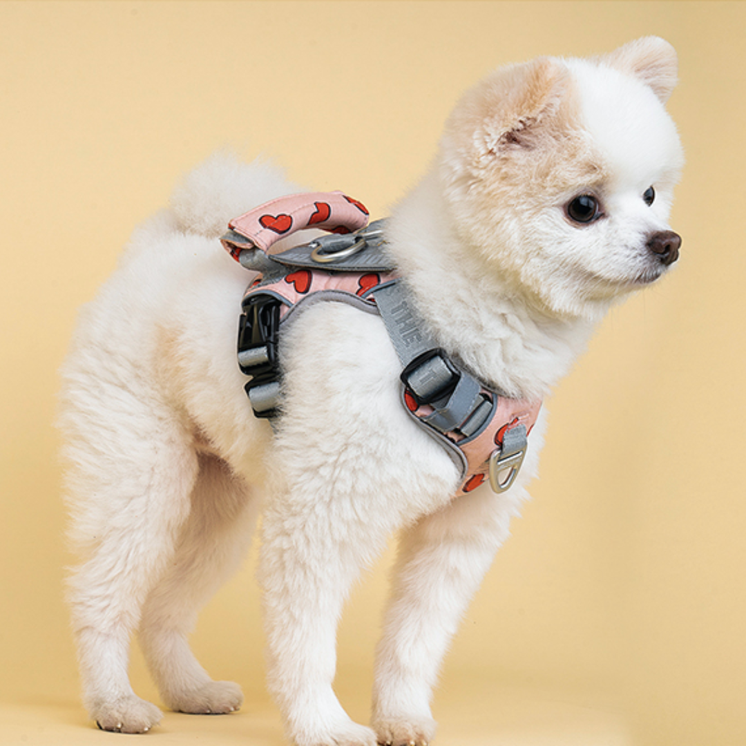 No-Pull Air Mesh Harness