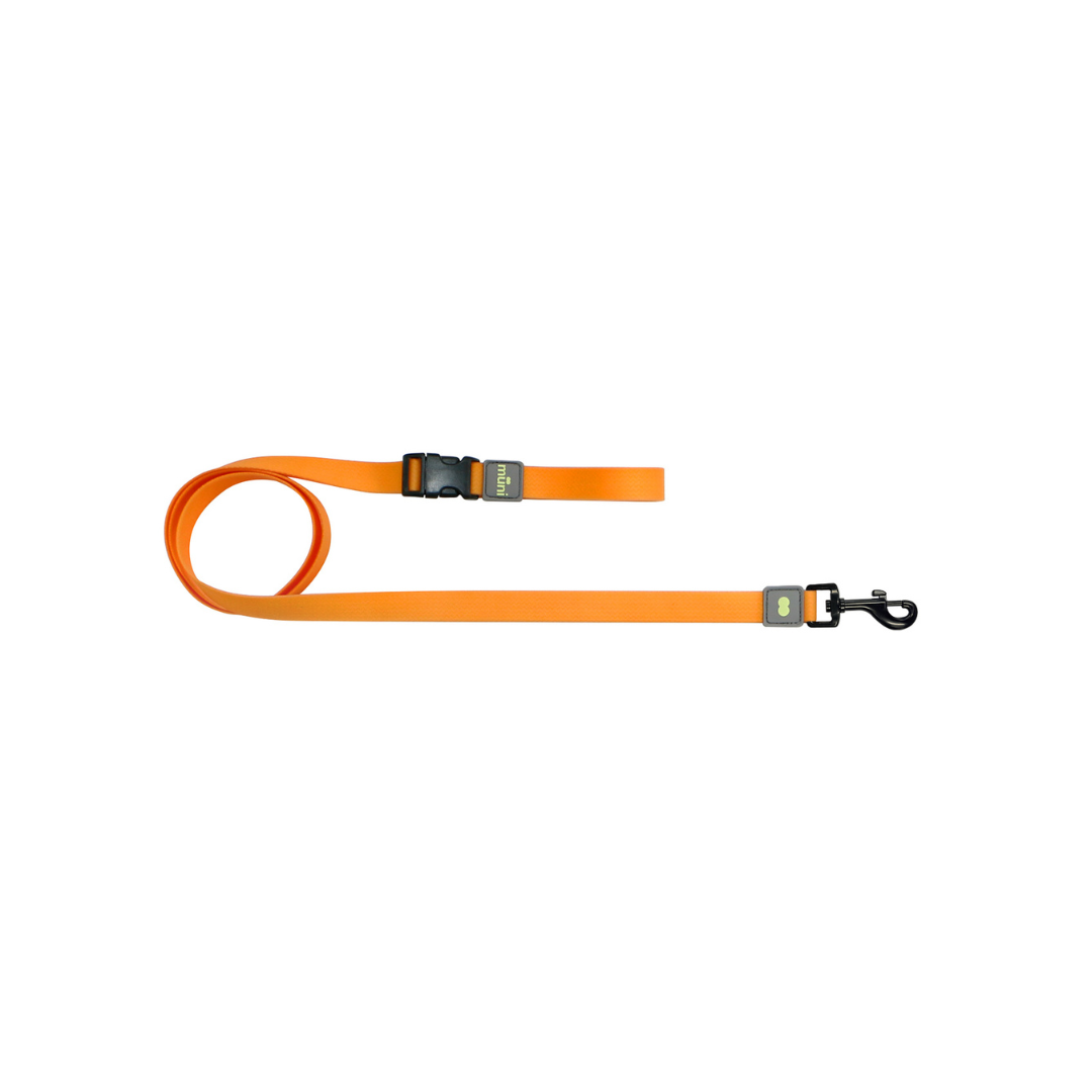 Munikund Waterproof Leash