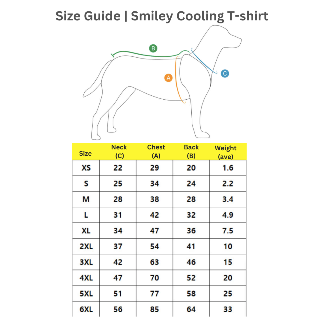 Smiley Cooling T-shirt | Sun Protection
