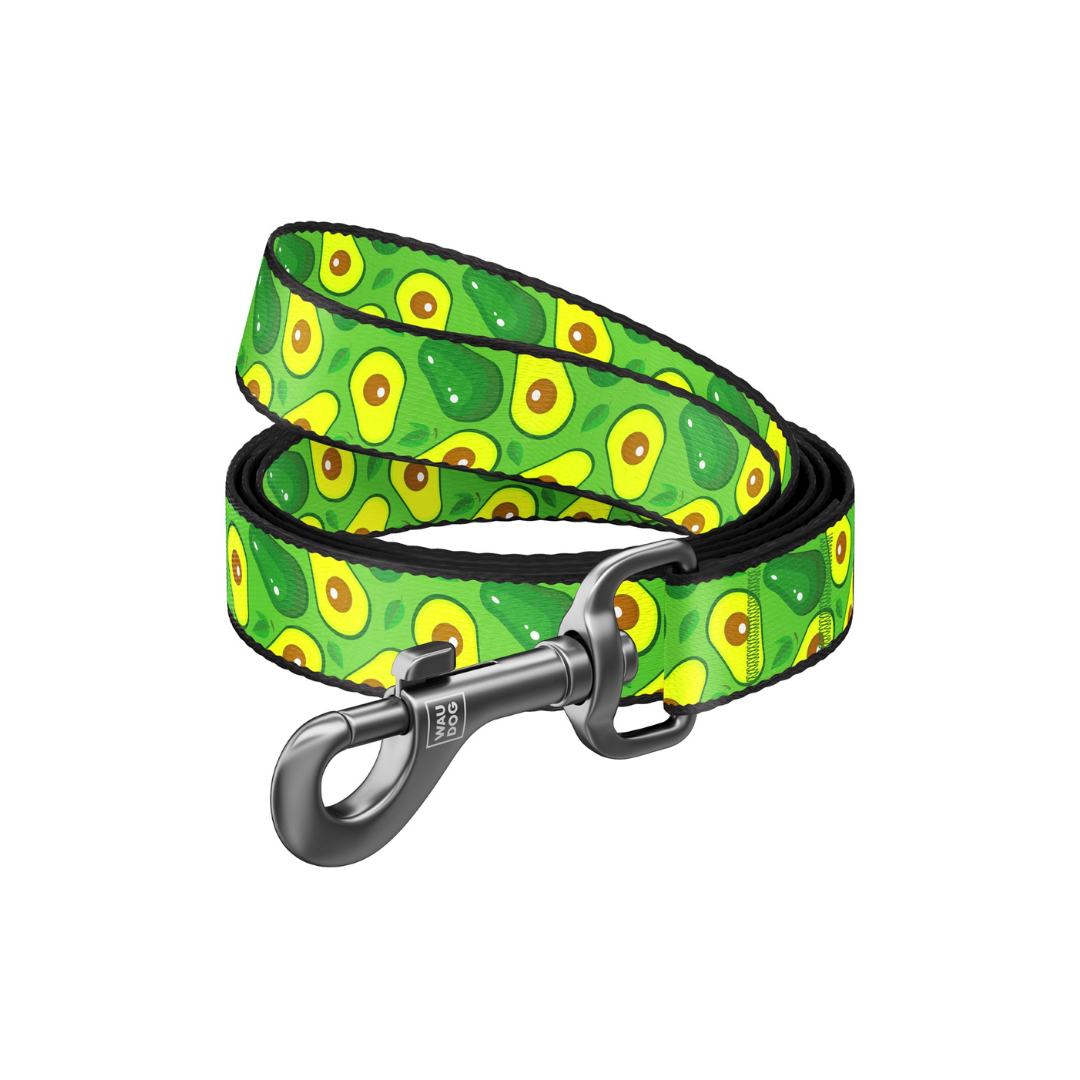 Small Pet Leash