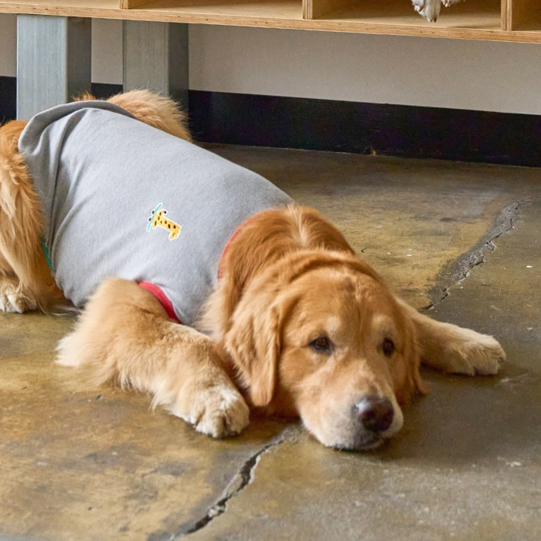 ffeffe Giraffe T-shirt