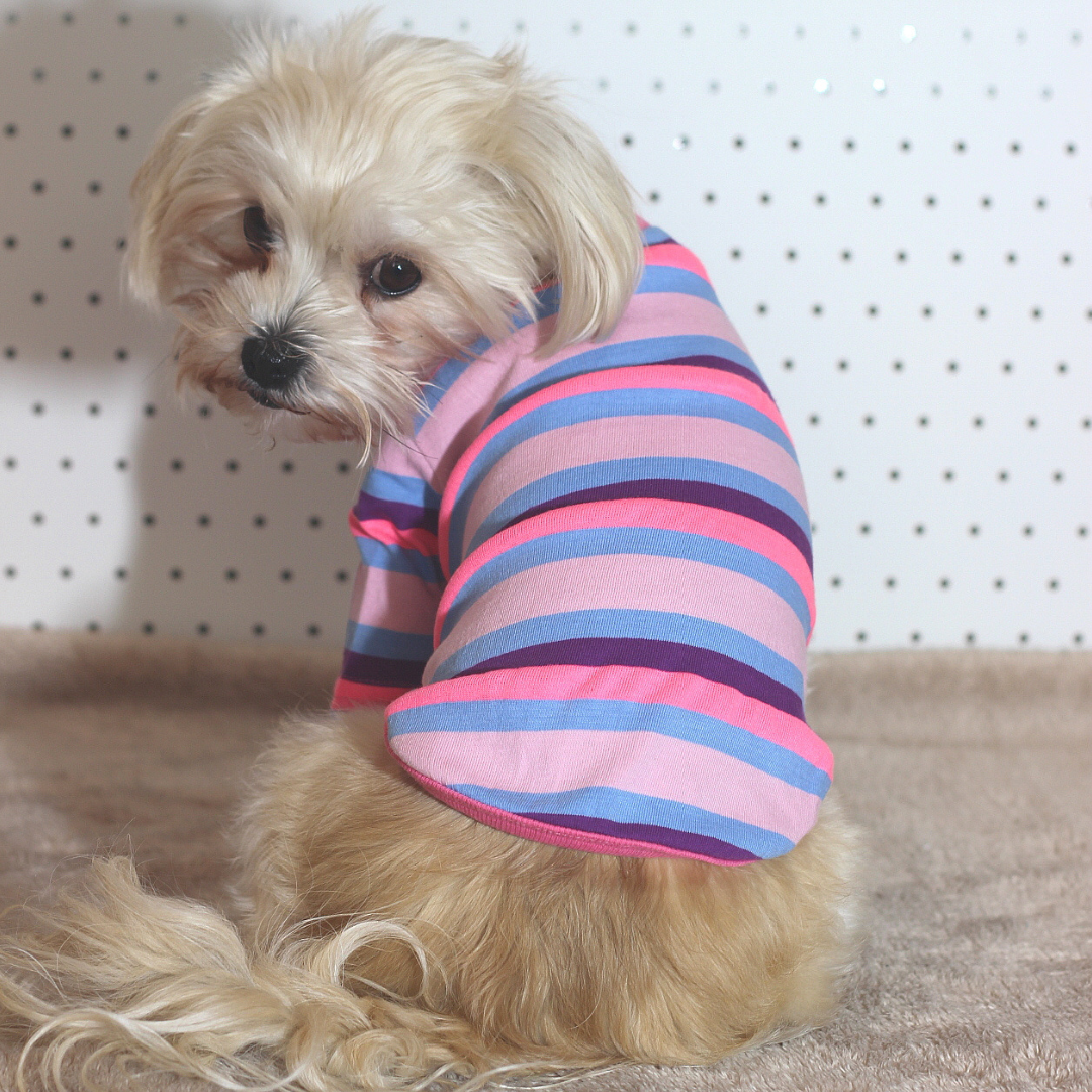 Candy Stripe T-shirt