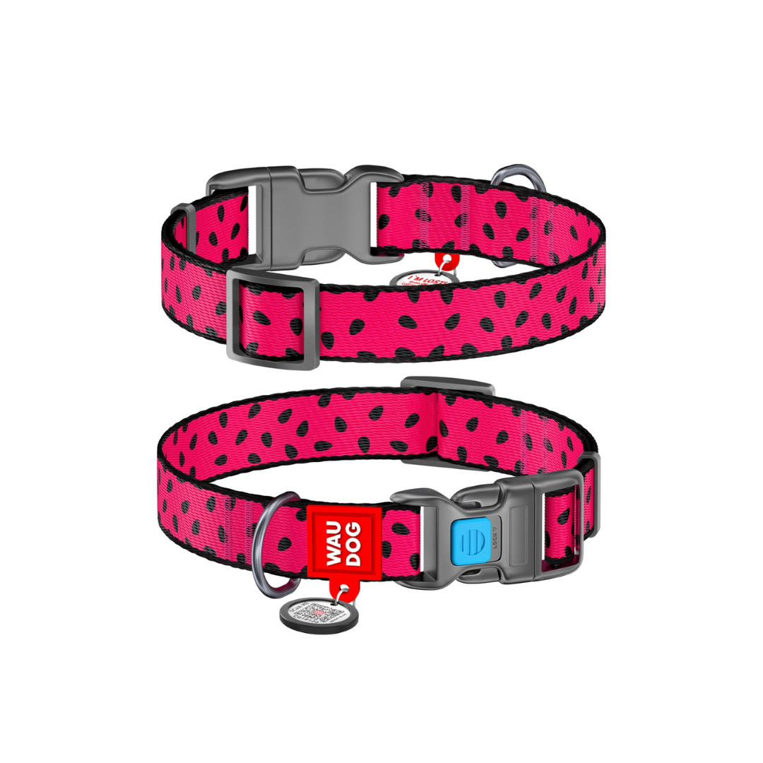 Small Pet Collar | Free ID Pet Tag