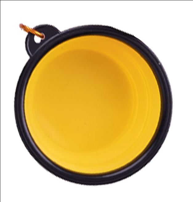 Collapsible Travel Bowl