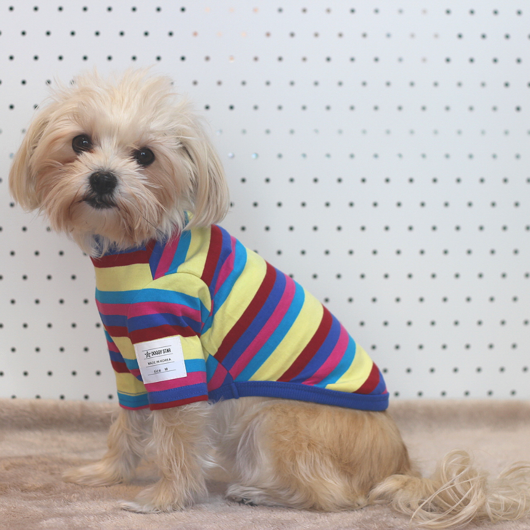 Candy Stripe T-shirt