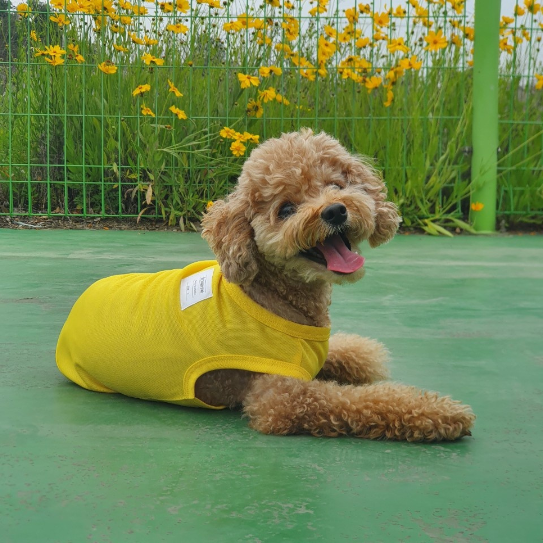 Macaron Cool Vest | Sun Protection