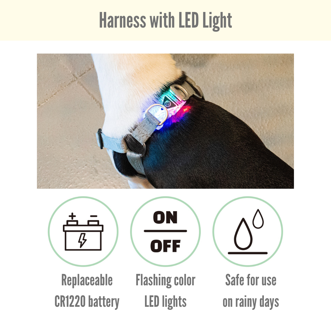 Cotton LED X-Shape Harness