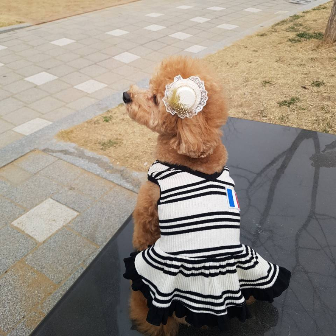 V Stripe Frilly Dress