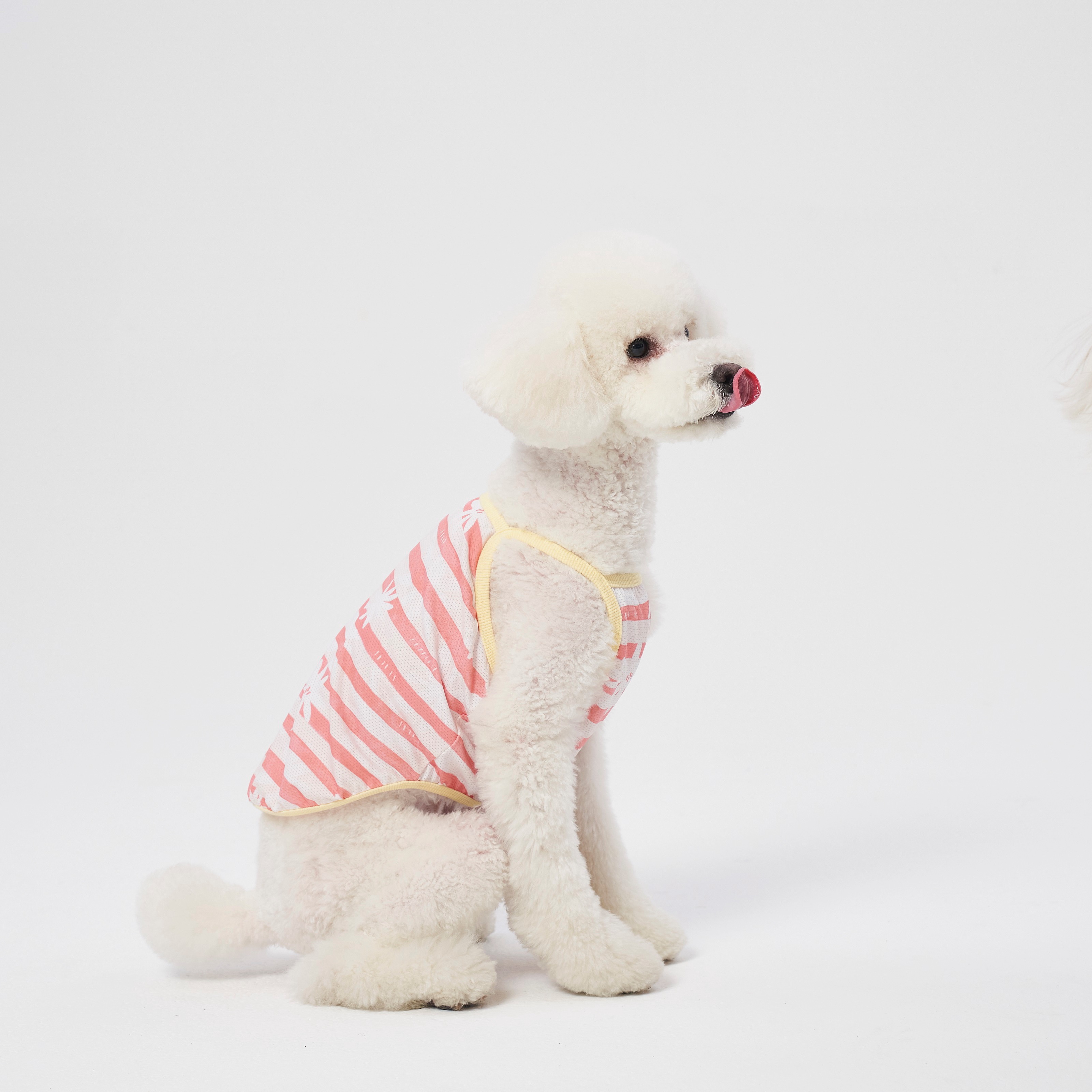 Cooling T-shirt | Insect Shield Coral