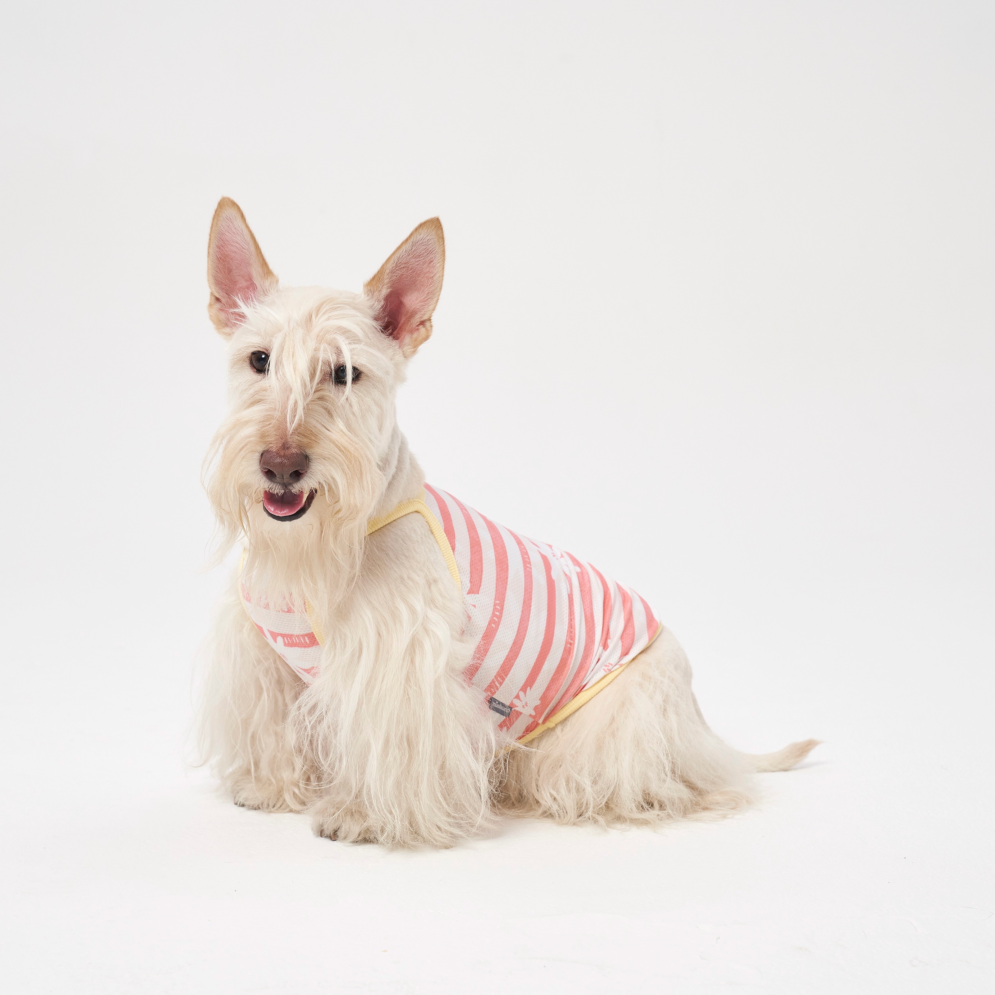 Cooling T-shirt | Insect Shield Coral