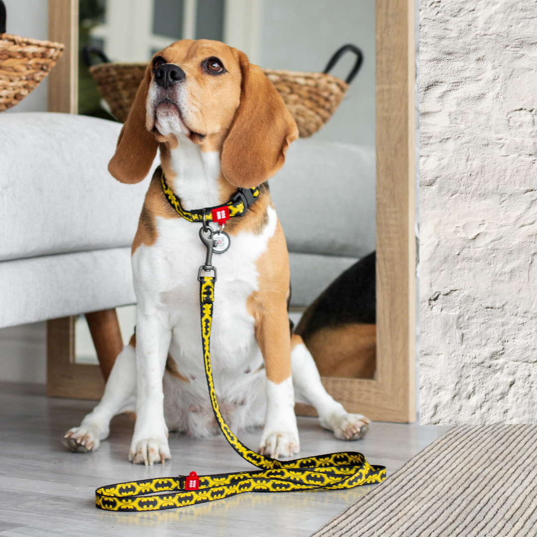 DC Comics Nylon Leash