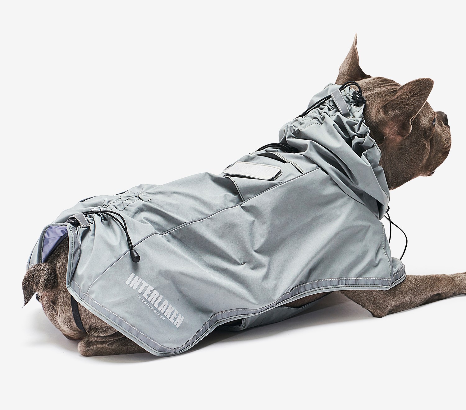 Dog Raincoats Online Product Collections Barkaberry