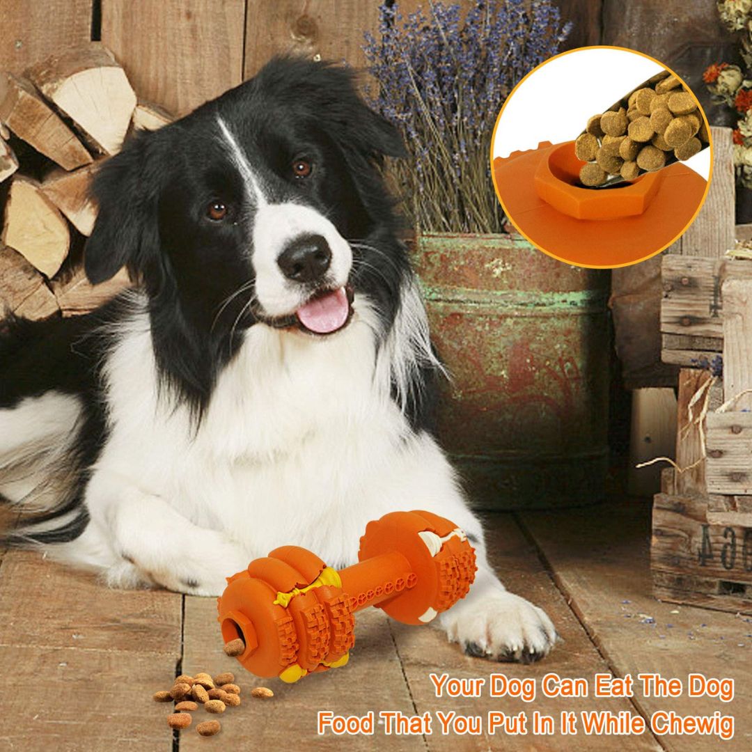 Dumbbell Chew Toy | Treats Dispenser