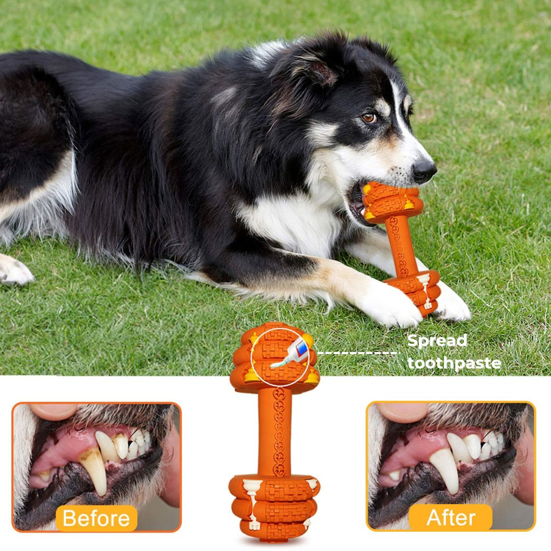 Dumbbell Chew Toy | Treats Dispenser