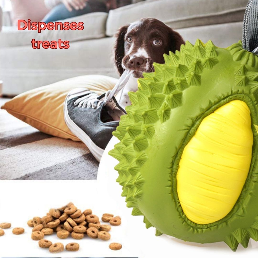 Durian Chew Toy | Treats Dispenser
