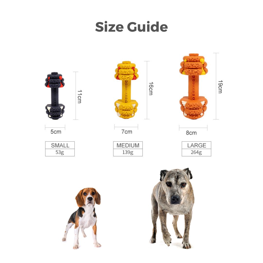 Dumbbell Chew Toy | Treats Dispenser