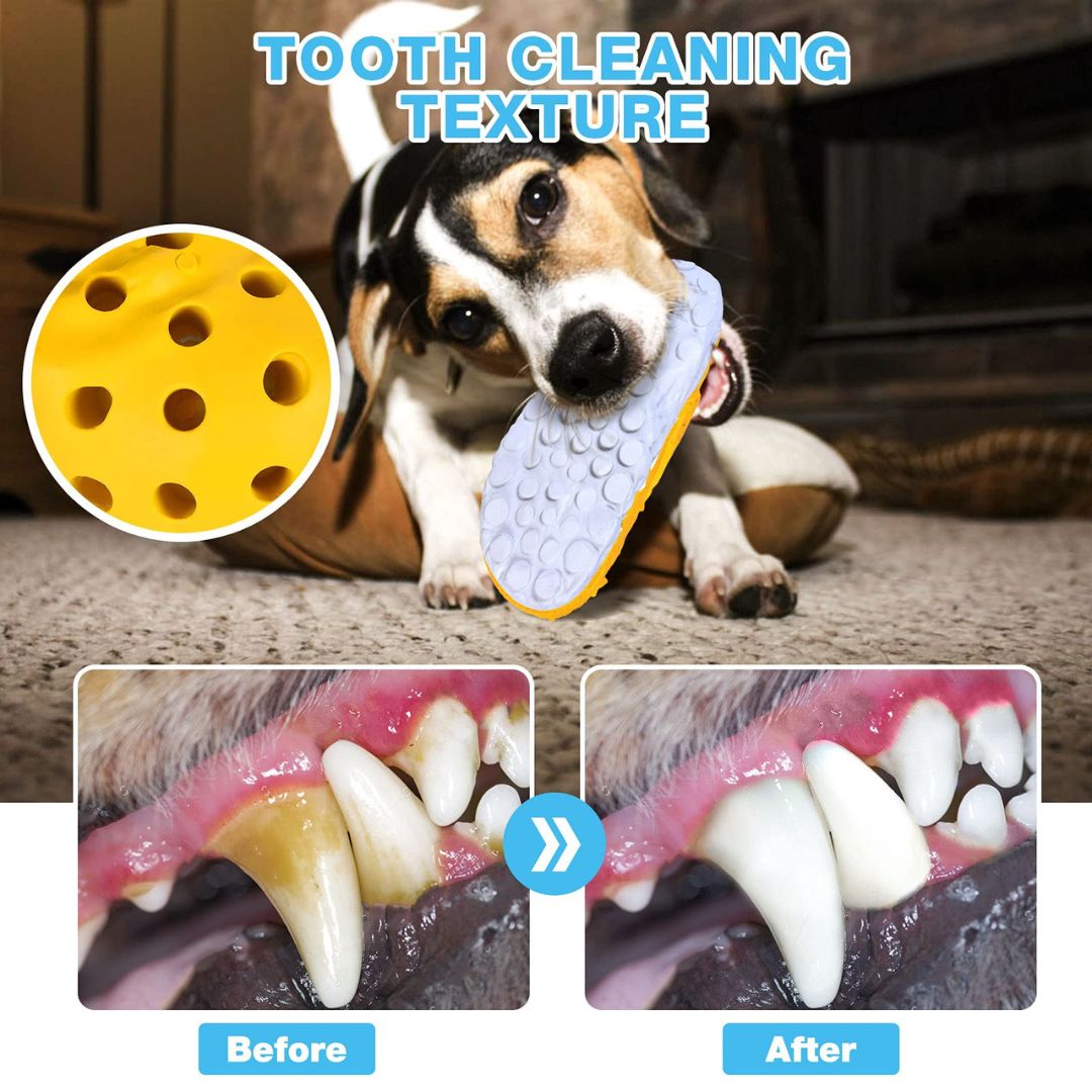 Slipper Chew Toy | Treats Dispenser