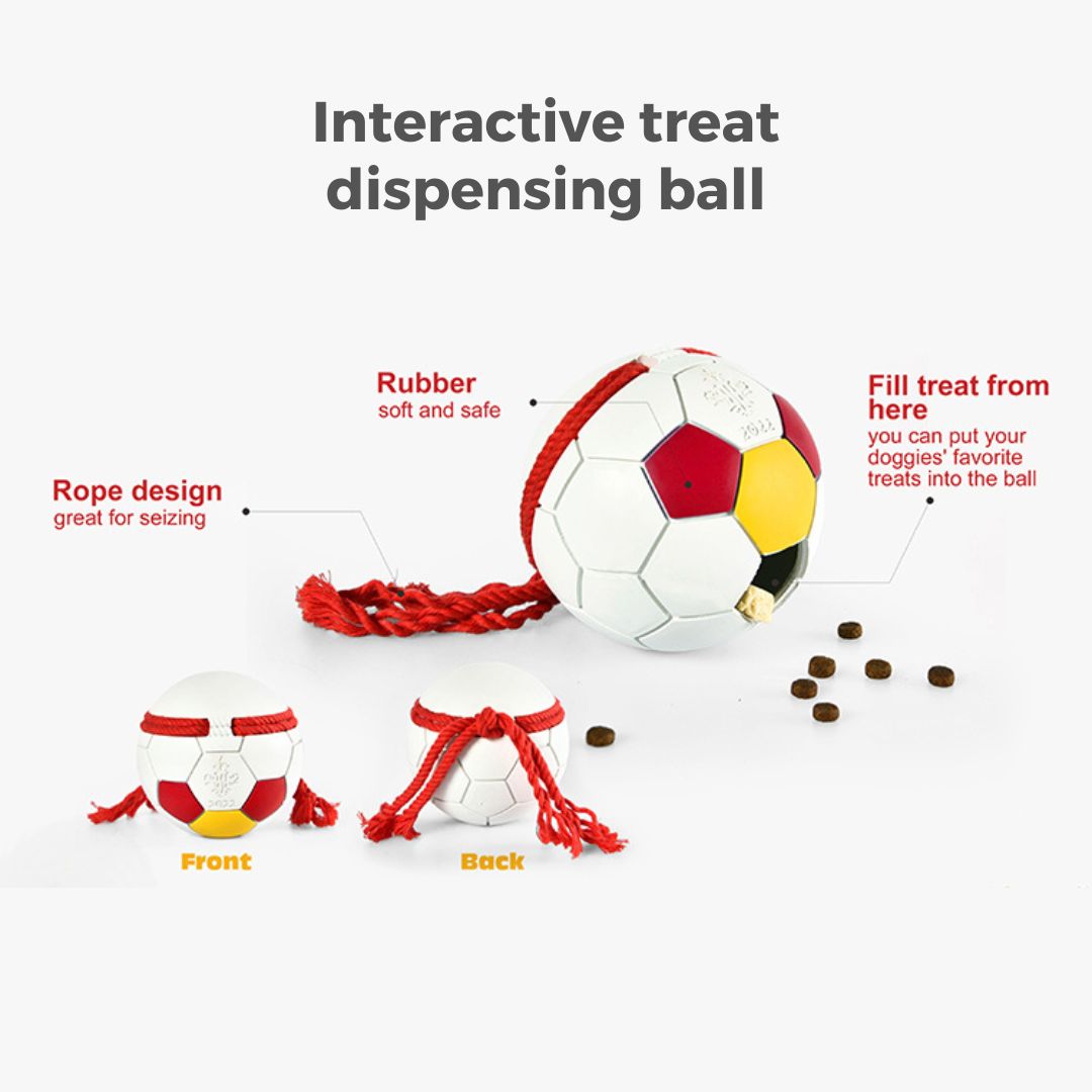 Soccer Ball Chew Toy | Treats Dispenser