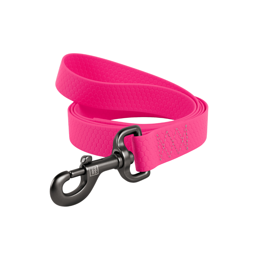 WAUDOG Waterproof Leash | Glow in the Dark