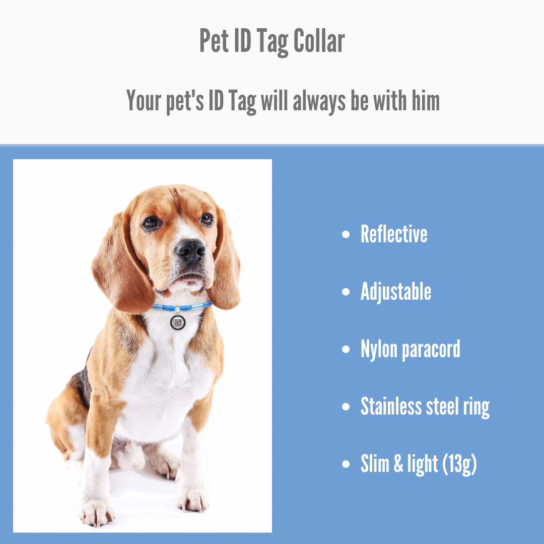 Pet ID Tag Collar