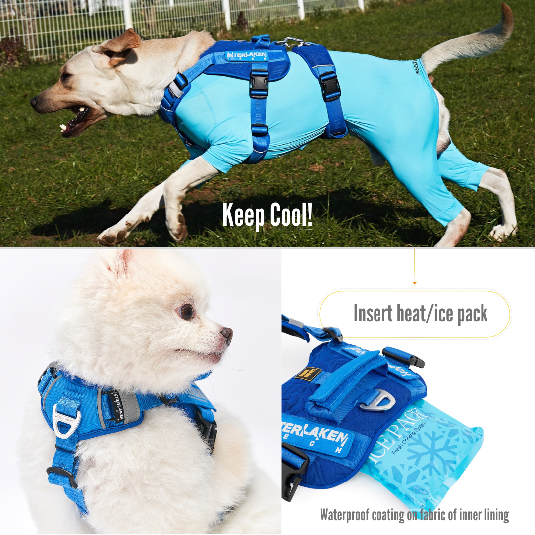 No-Pull Tech Harness | Escape Proof