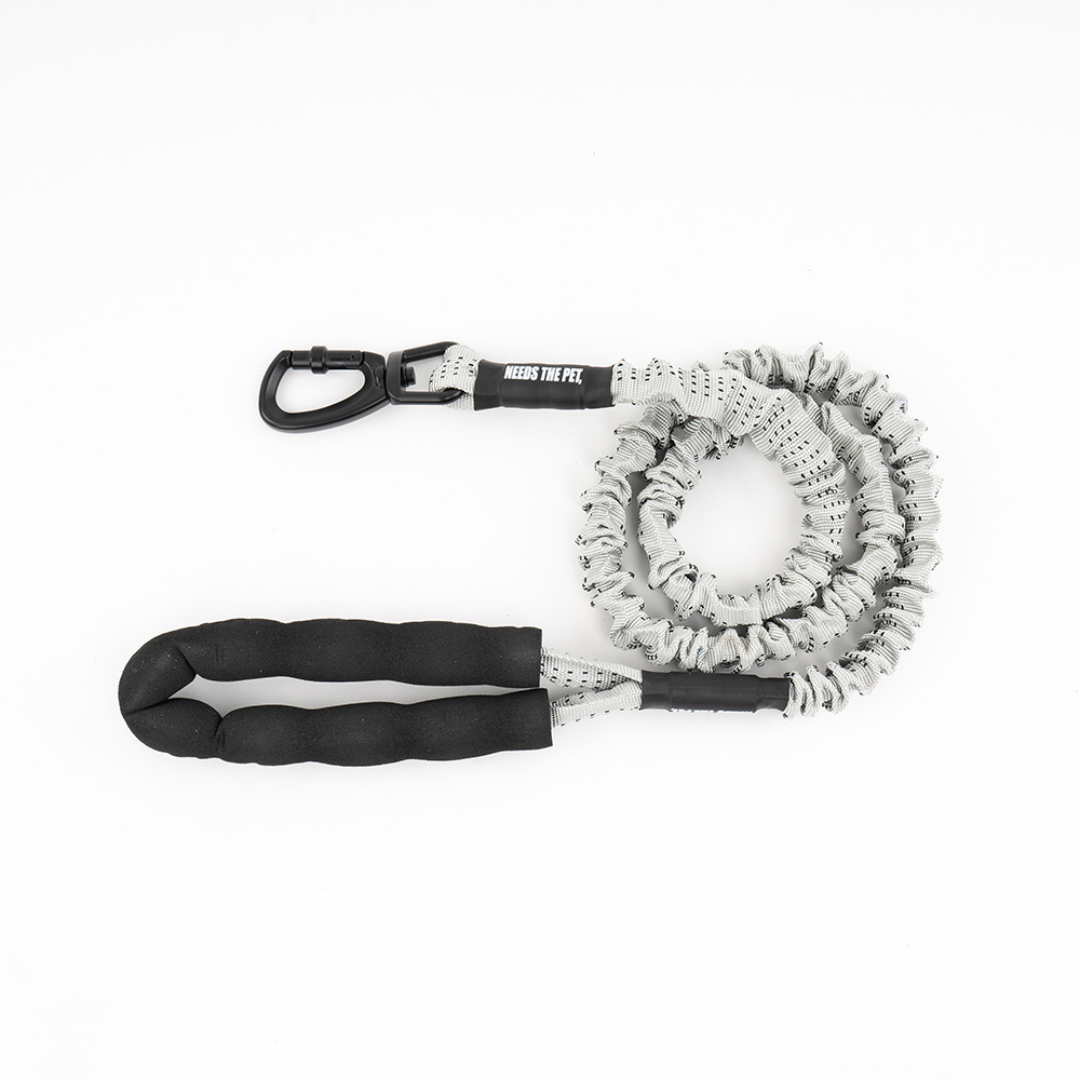 Bungee Leash