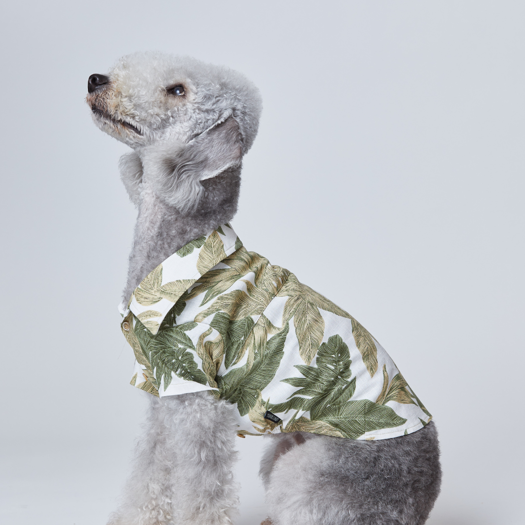 Hawaiian Shirt Forest