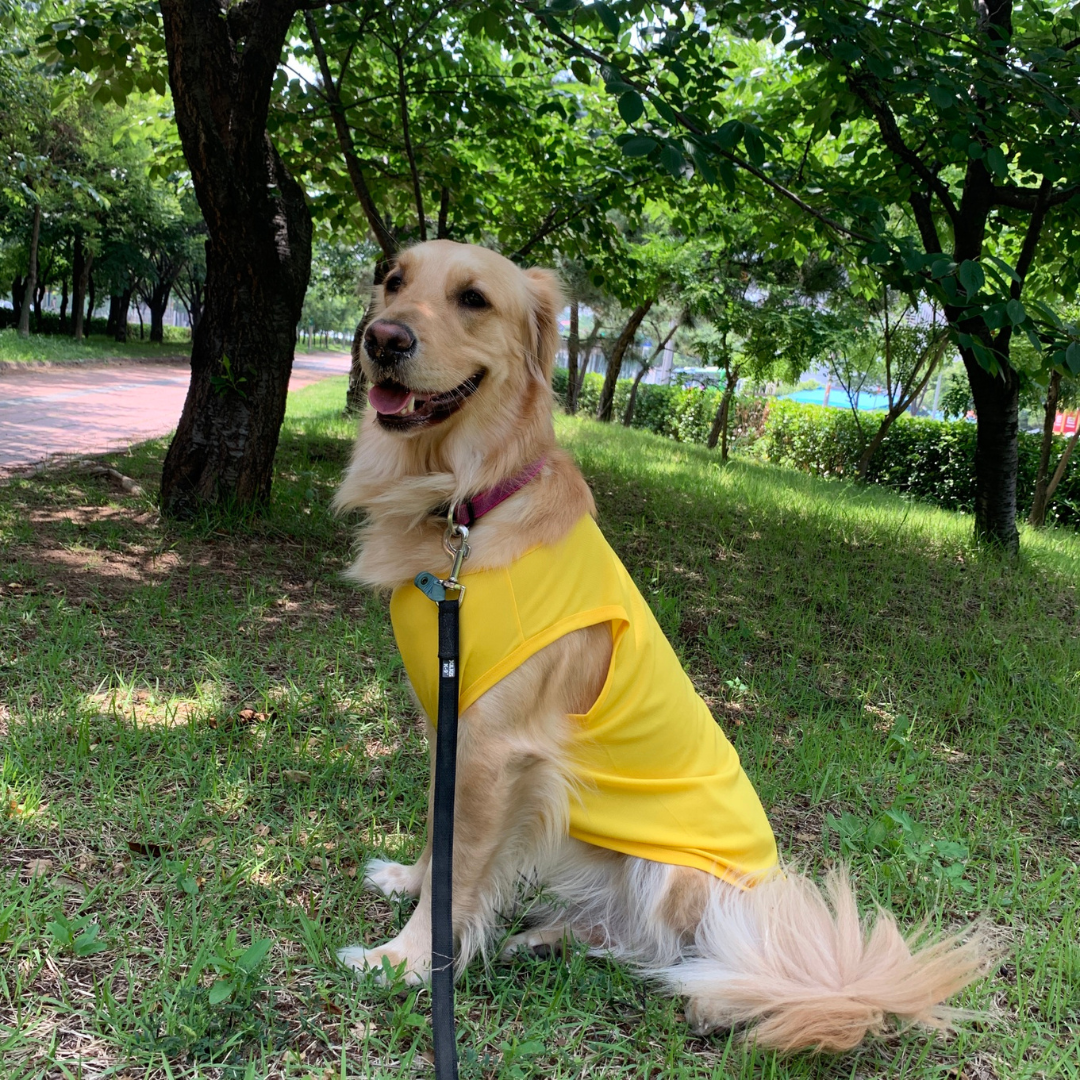 Macaron Cool Vest | Sun Protection