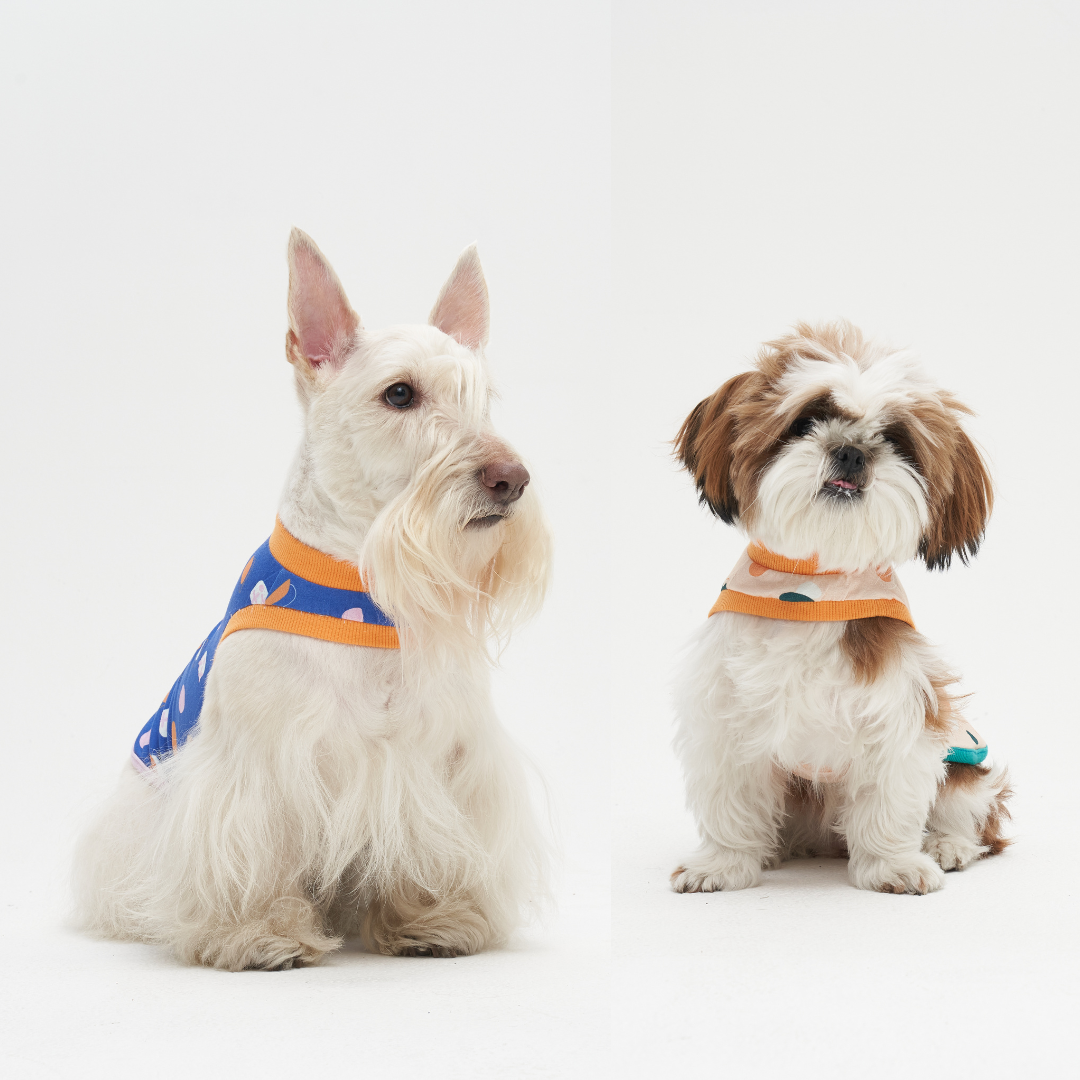 Lachu One Hole T-Shirt