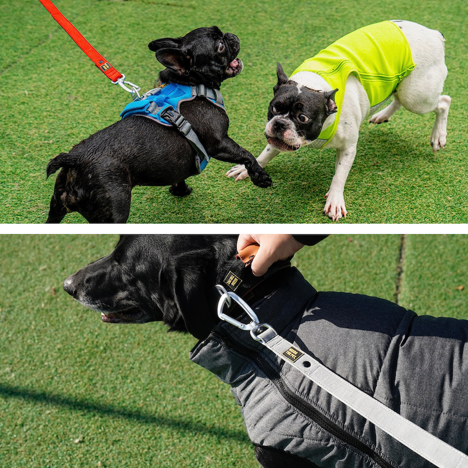 ]INTERLAKEN Handsfree Leash 2.3m | 3.3m