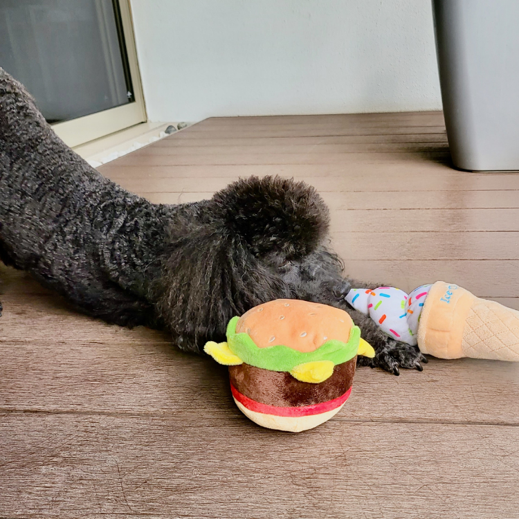Big Breakfast Squeaky Toy