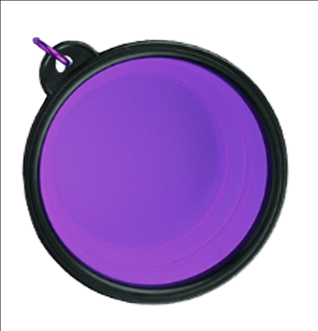 Collapsible Travel Bowl