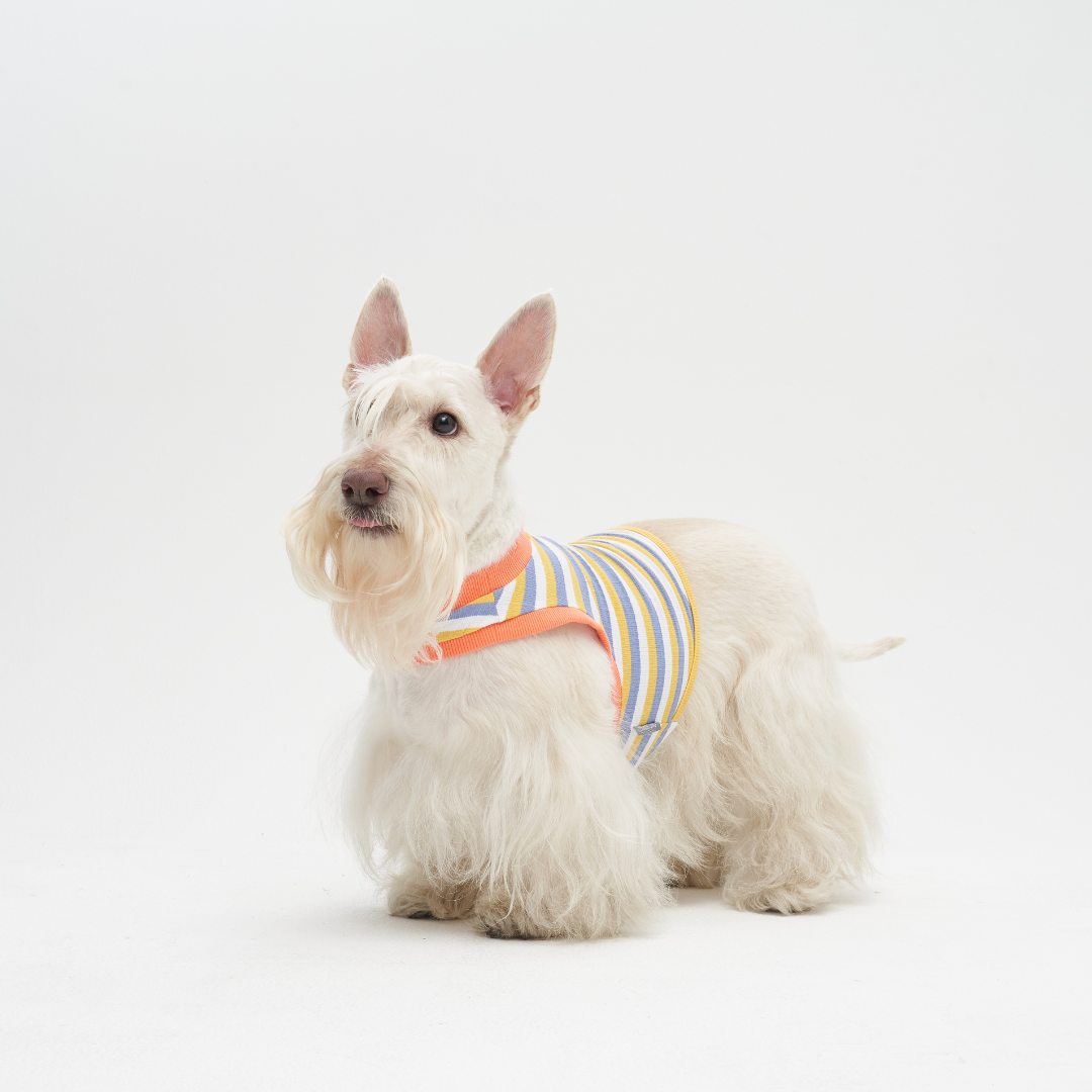 Lachu One Hole Crop T-shirt