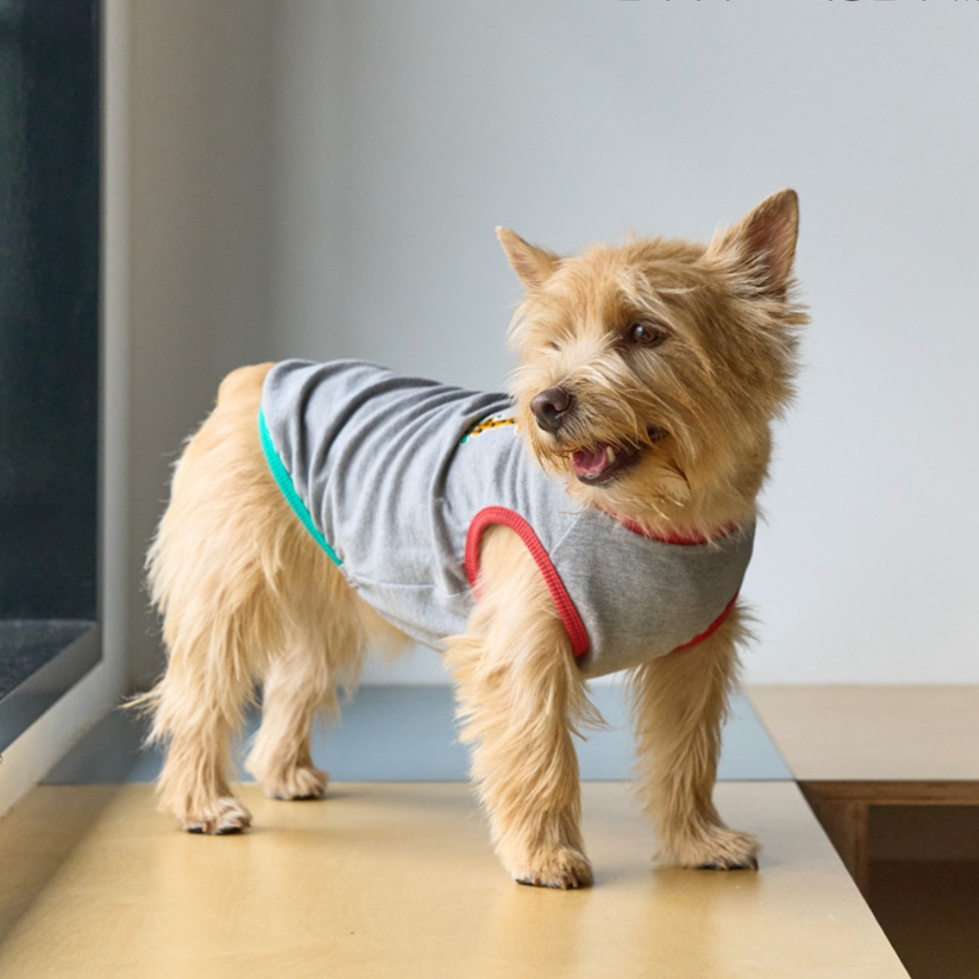 ffeffe Giraffe T-shirt