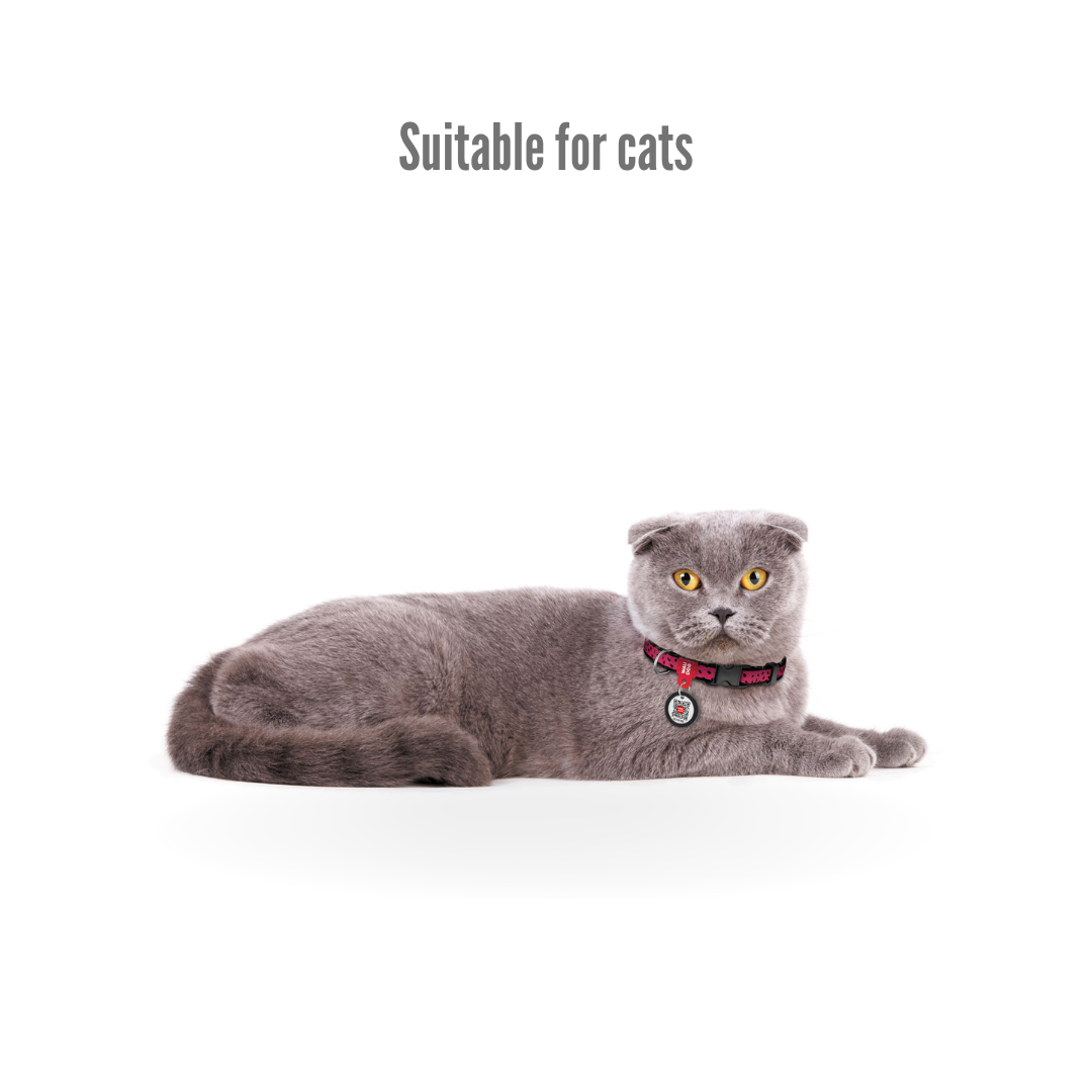 Small Pet Collar | Free ID Pet Tag