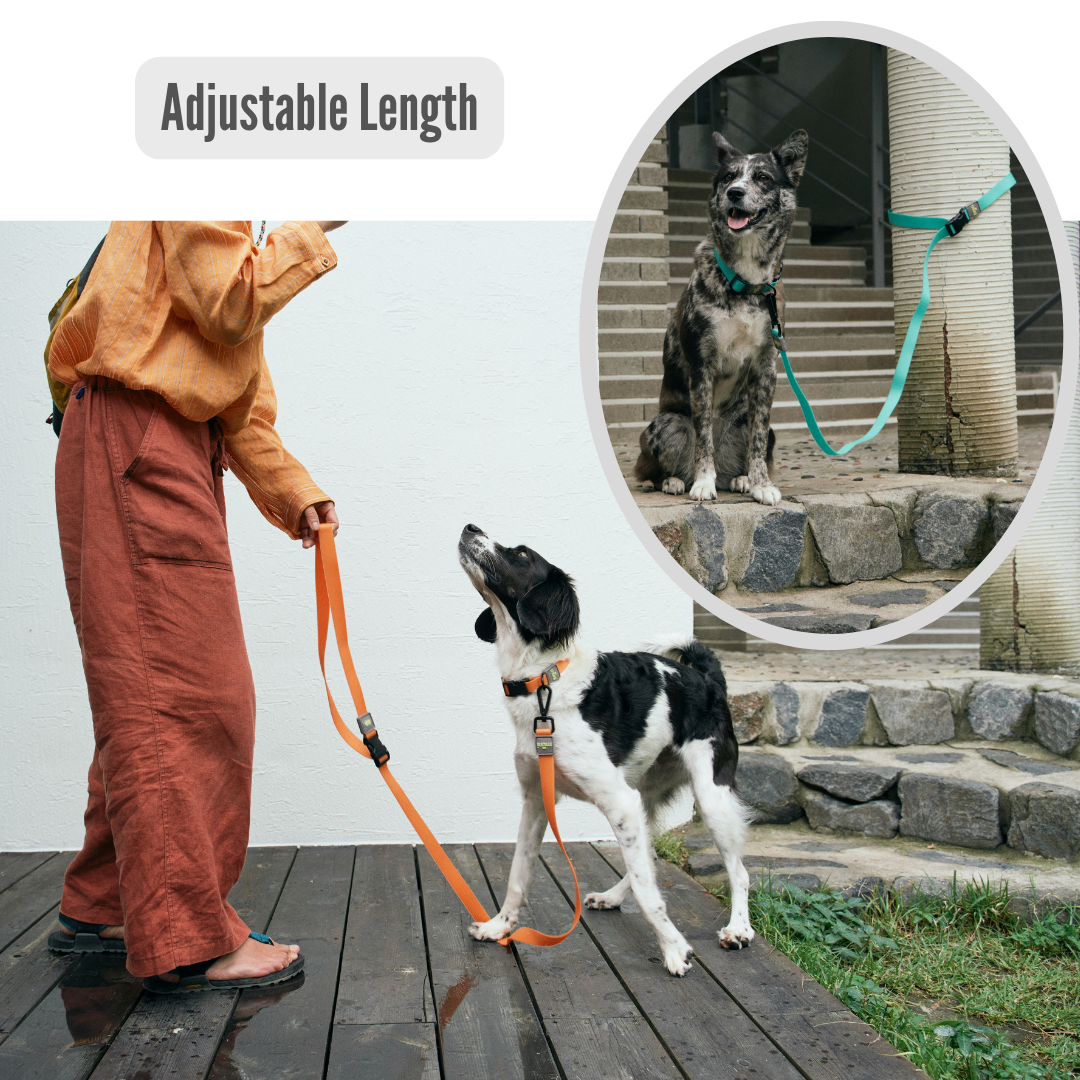 Munikund Waterproof Leash