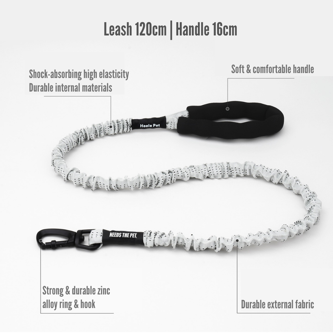 Bungee Leash
