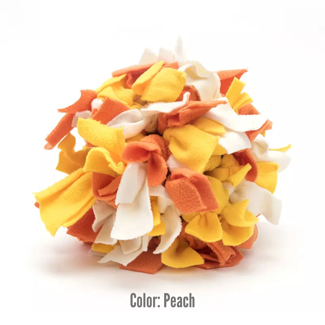 Snuffle Nosework Ball