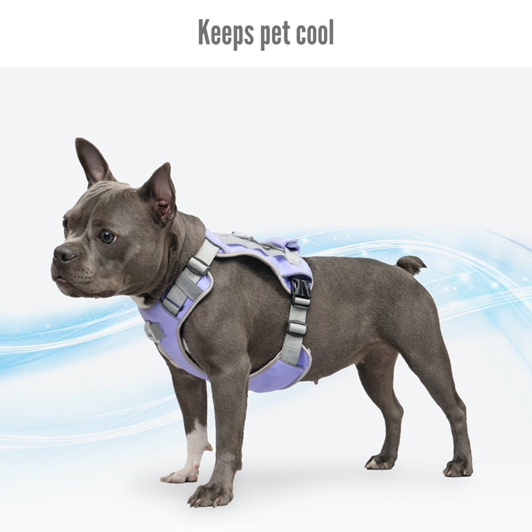 No-Pull Cooling Harness