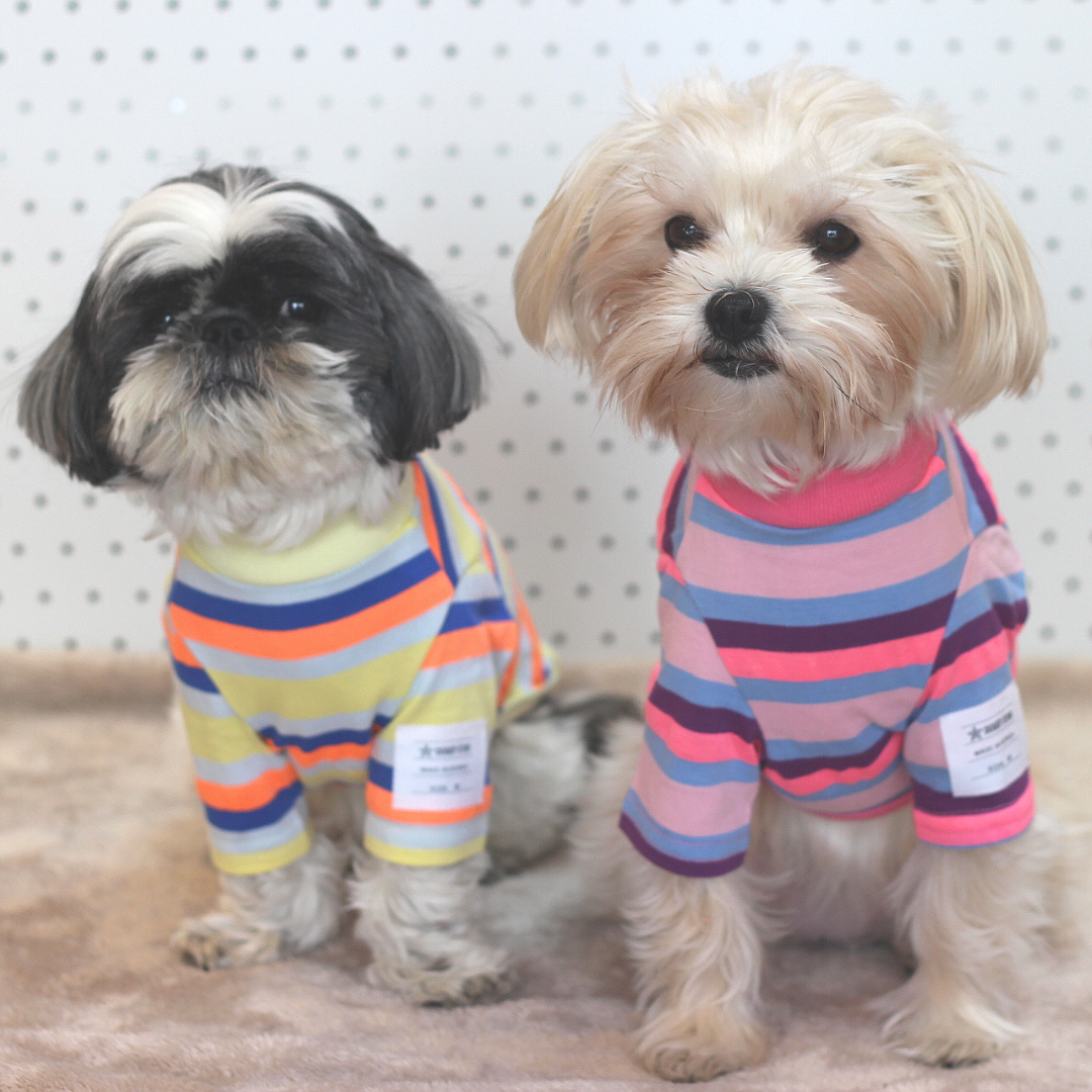 Candy Stripe T-shirt